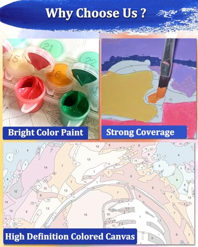 Blissroot Framed Paint by Numbers Kit for Adults Beginner&Kids Ages 8-12, 12x12inch Dragonfly Paint by Numbers with Frame, Large Flower Dragonflies Paint by Number Framed Canvas (Without Easel) - color: BR020F, size: 12"x12"