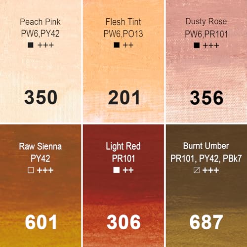 PHOENIX Skin Tone Oil Paint Stick - Set of 6 Flesh Tint 37ml Large Soft Water Soluable Oil Pastels for Artists - color: 6 Skin Tones