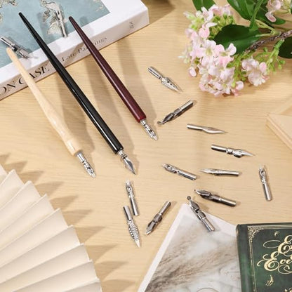 beinkmake 20Pcs Comic Pen Nib Set 17 Styles Stainless Steel Dip Pen Nib Replacement 3 Colors Wooden Pen Holder for Writing Drawing Signing