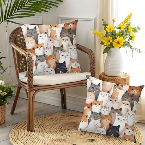 Cat Throw Pillow Covers 18x18 inches Set of 2, Ultra Soft Flannel Decorative Cushion Covers for Couch, Modern Artistic Cat Pattern Pillowcases for Sofa Living Room Bedroom, Cat Lovers Gift - color: 01-white-166