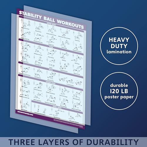 Palace Learning 2 Pack: Half Balance Ball Workout Poster + Yoga Ball Exercise Chart - Set of 2 Workout Posters