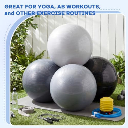 Leyndo 4 Pcs 26 Inch Yoga Exercise Ball Pilates - color: Gray Black Set