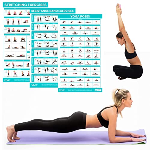 Vive 3 Pack Workout Posters for Home Gym - Yoga Poses, Stretching Exercises