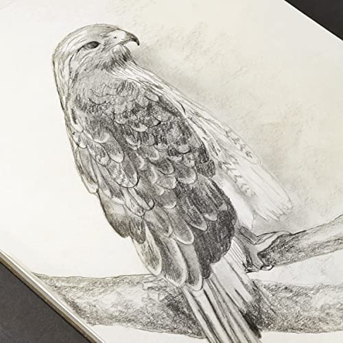 Koh-I-Noor 11" x 17" Bristol Vellum Bright White Paper Pad with In and Out Pages, 270 GSM, Side Wire-Bound, 20 Sheets per Pad (26170401513) - color: Vellum Bright White, size: 11 x 17 Inches