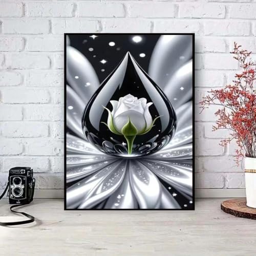 Waterdrop Rose 5D Diamond Art Kits for Adults DIY Painting 12 x 16 inch | Diamond Painting Kits for Beginners,Full Round Drill Gem Art Kits, Diamond Dots Kit Home Decor - color: SH177