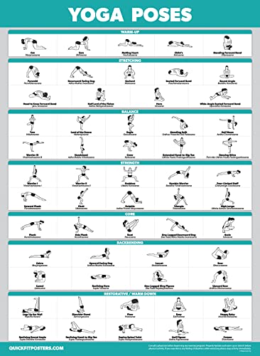 Palace Learning 4 Pack - Yoga Poses Poster Volume 1, 2 & 3 + Yoga Positions with Yoga Blocks - Beginner Yoga Position Exercise Charts - English and Sanskrit Names