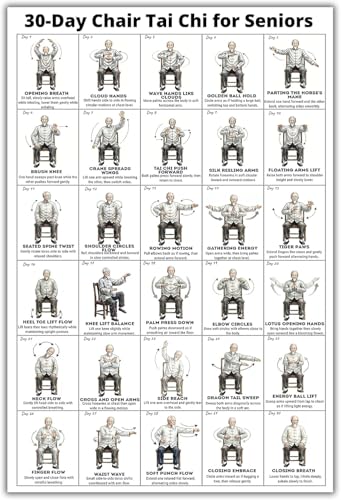 Tai Chi Chair Workout Chart Poster, Print Tai Chi Chair Seated Exercises for Seniors Wall Chart Home Gym Living Room Decor Low Impact Mindful Movement for Beginners Elderly