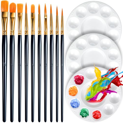 FANDAMEI Round Paint Tray Palettes and Paint Brushes Set, Paintbrushes, 3 PCS Plastic Paint Palettes Pallets, 10 PCS Acrylic Paint Brushes, Nylon Hair Painting Brushes, for Acrylic Oil Watercolor - color: Black