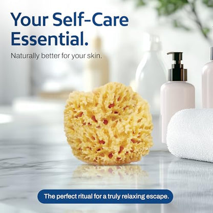 HartFelt Delicate Skin Wool Sea Sponge 4 in | Real Natural Sponges for Body and Face Gentle Care | Luxurious Lather - size: 1 Count (Pack of 1), style: Wool Sea Sponge