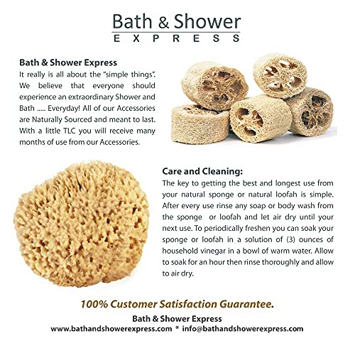 Sea Wool Sponge 5-6" (Large) by Bath & Shower Express ® Natural Renewable Resource, Esponja for Exfoliating and Washing Body