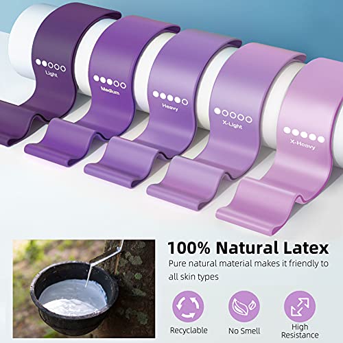 Bundle Set of 8 Resistance Bands for Workout, 5 Latex Exercise Bands and 3 Fabric Booty Bands with 2 Portable Bags