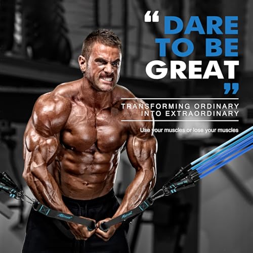 HPYGN Resistance Bands, Exercise Bands with Handles, Fitness Bands, Workout Bands with Door Anchor and Ankle Straps, for Heavy Resistance Training, Physical Therapy, Shape Body, Yoga, Home Workout Set - color: blue, style: 250LBS
