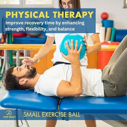 ProBody Pilates Ball Small with Pump - 9 Inch Small Exercise Ball - color: Silver