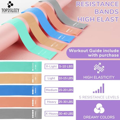 TOPZGLEEY Pilates Ring and Ball Set with Resistance Bands - Pilates Equipment for Home Workout - 14'' & 12'' Pilates Rings, 2 Pilates Balls, 5 Resistance Bands,Guide