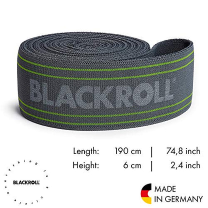 Blackroll Exercise - color: Grey