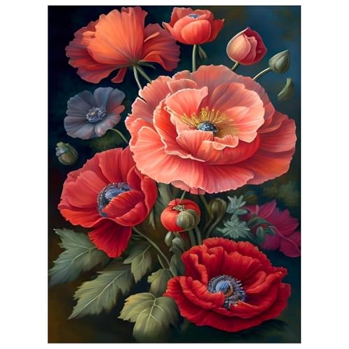 Poppy Paint by Numbers Kit for Adults, 16x20 inch | DIY Painting Kits Crafts for Adults, Relieve Stress, Gift, Home Wall Decor - color: FLOWER01 without frame