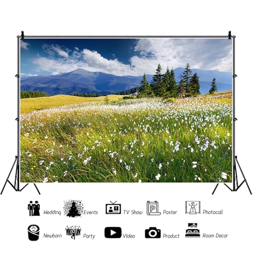 12x8ft Vinyl Summer Landscape Backdrops for Photography Background Blooming Flower Mountain Landscape Grass Field Vacation Holiday Party Backdrop Children Adults Portraits Photo Studio - size: 12x8ft