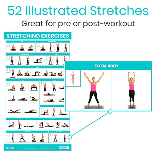 Vive 3 Pack Workout Posters for Home Gym - Yoga Poses, Stretching Exercises