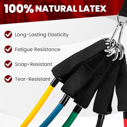 Resistance Bands Set (11-Pack) – Tube Exercise Bands with Handles, Door Anchor & Carry Bag | Home Gym Fitness Equipment for Men & Women | Strength Training, Physical Therapy & Workouts