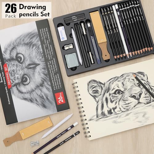 Brusarth Charcoal Pencils for Drawing, Graphite Pencils (10B-2H), 26 Pcs | Drawing Sketching Pencil Set for Sketching, Shading, Blending, Artist Pencils for Beginners & Pro Artists