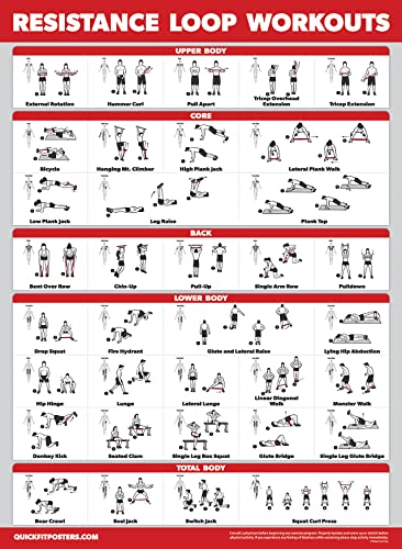 Palace Learning 4 Pack - Dumbbell Workouts + Bodyweight Workouts + Stretching Exercises + Resistance Loops - Set of 4 Workout Charts (18” x 24”, LAMINATED)
