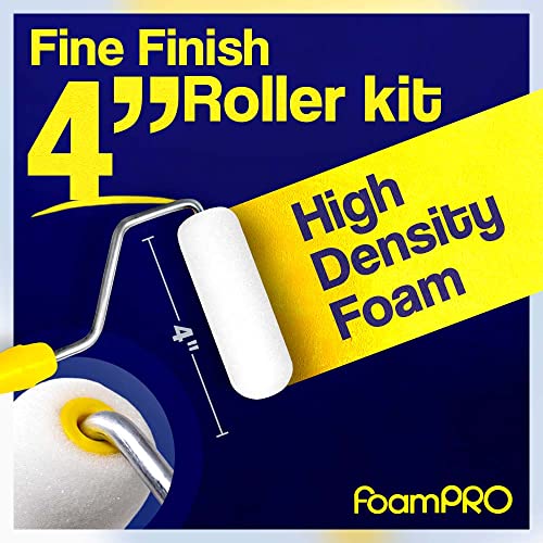 FoamPRO 4” Fine Finish Paint Roller Kit | 1 Plastic Paint Tray, 1 Roller Handle, 10 Foam Rollers | Mini Foam Roller Kit w/Roller Pan | Home Painting Supplies & Paint Tools, Multicolor, 164 (164KIT) - style: (4 Inch) Paint Kit