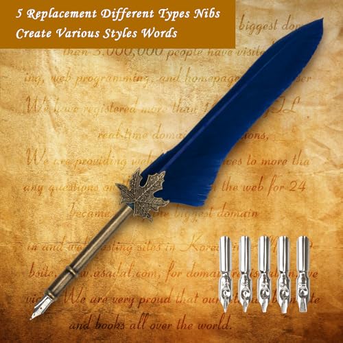 AHIER Quill Pen and Ink Set, Feather Pen Quill Pen Set Includes 5 Steel Replacement Nibs,Pen Nib Base and Dip Ink Bottle for Antique Calligraphy (Blue) - color: Blue