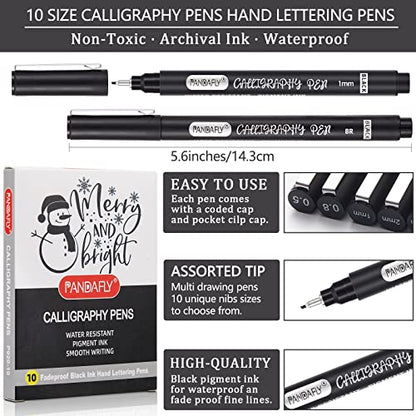 PANDAFLY Calligraphy Pens for Writing, 10 Size, Hand Lettering Pens | Brush Pens Calligraphy Set for Beginners, Calligraphy Brush Pens for Art Drawing, Sketching, Scrapbooking, Journaling
