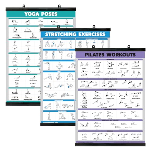 Palace Learning QUICKFIT 3 Pack - Yoga Poses + Stretching Exercises + Pilates Mat Work Poster Set - Set of 3 Workout Charts (with Plastic Frame, 18" x 24") - color: with Plastic Frame