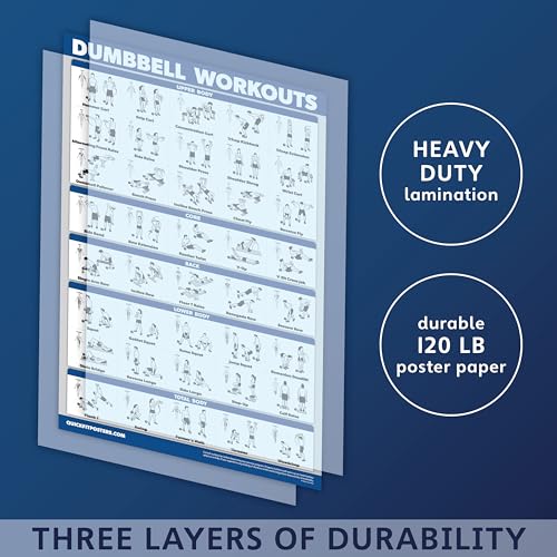 Palace Learning Dumbbell Workout Exercise Poster - Free Weight Body Building Guide | Home Gym Chart - LAMINATED, 18" x 24" - color: Laminated
