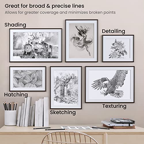 ARTEZA Drawing Sketch Pencils Set of 12, Graphite Pencils 6B to 4H, Pre-Sharpened Art Pencils in Metal Tin for Sketching, Shading, Drawing, Blending, and Detail Work