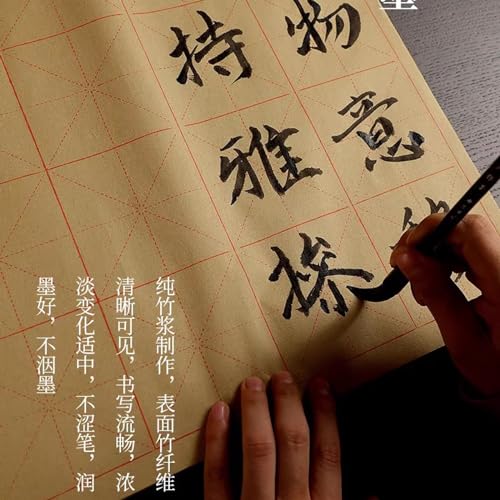 MEGREZ Grid Maobian Xuan Paper Half Raw Ripe Calligraphy Practice Sheets | ink control no heavy bleed, clear grid lines, Chinese kanji calligraphy practice, 32 x 38cm, 6cm x 30 grids, 50 sheets - size: 6 cm x 30 Grids /Sheet
