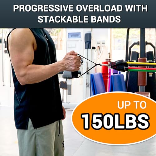 TheFitLife Resistance Bands Set with Handles, Door Anchor and Ankle Straps | Workout Bands for Muscle Strength Training, Home Gym Fitness, Full Body Exercise for Men, Women, Pilate, and Physical Therapy