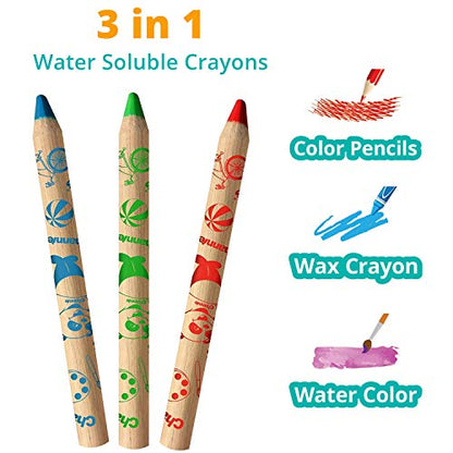 Channie's 3 in 1 Water Soluble Crayons for Kids: Wax Crayons, Color Pencils & Water Color, With Free Paint Brush & Sharpener, Paint on Any Smooth Surface, 12 Color Set