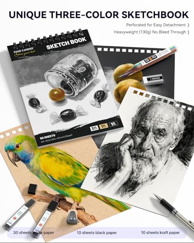 Four Candies 73PCS Advanced Drawing Kit with Professional Art Supplies | Fineliner Pens, Mechanical Pencils, 3-Color Sketchbook, Charcoal Sticks,Pastels for Sketching Drawing Comics, Artists