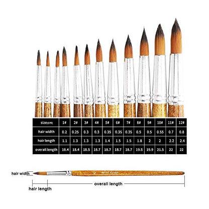 Watercolor Paint Brushes FENORKEY 12Pcs Round for Watercolor, Acrylic & Gouache