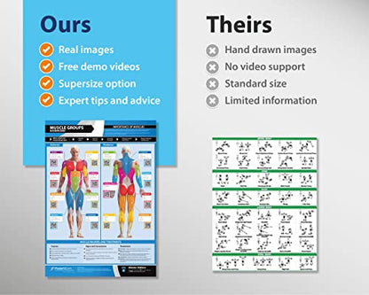 Set of 7 Gym Workout Posters - Laminated Muscle Group Exercise Charts with Free Video Guides, Dumbbell, Kettlebell and Barbell Exercise for Full Body Training and Home Gym Fitness Room Décor