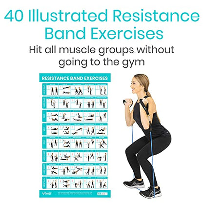 Vive 3 Pack Workout Posters for Home Gym - Yoga Poses, Stretching Exercises