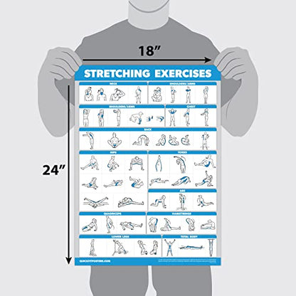 Palace Learning QUICKFIT Stretching Workout Exercise Poster - Stretch Routine (Laminated, 18" x 24") - color: LAMINATED