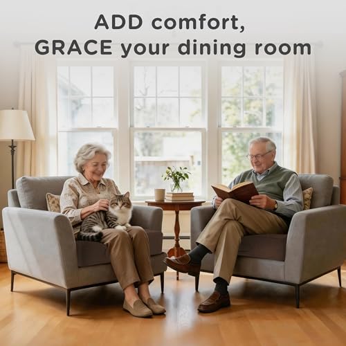 AddGrace High Density Recliner Cushion for Elderly 20x20in Brown - color: Dark Brown