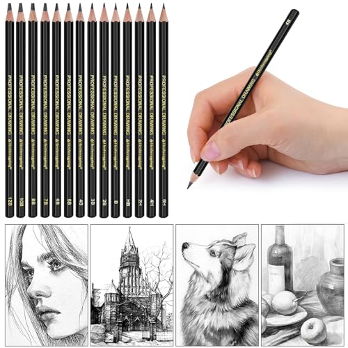 Heshengping, Sketching Pencil Drawing Pencils Set-26pcs, Art Supplies Drawing Kit,Graphite Charcoal Pro Draw Pencil Set,gift for Adults Beginners Artist for drawing sketching with Champagne Gold Case - style: Champagne Gold | 26 Pack