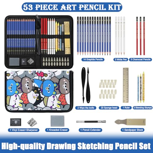 53 Pack Drawing Set Sketch Kit, Sketching Supplies for Drawing with Graphite, and Charcoal Pencils, Pro Art Drawing Kit for Artists Adults Beginner, Ideal for Shading, Blending