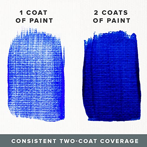 DecoArt DASK396 Acrylic 2 Oz 12 Count Brights Craft Paint Value Pack