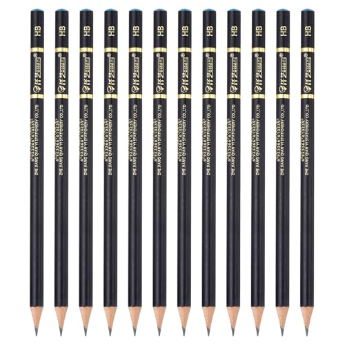 PATIKIL 12Pcs Drawing Pencils for Sketching, HB Refill Sketch Pencils for Drawing, Graphite Art Pencil Set Professional Resistant Lead for Painting Shading Artist Office Supplies - size: HB
