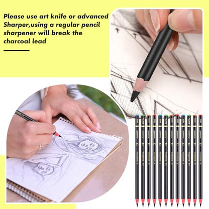 Resurhang 100 Pcs Charcoal Pencils Drawing Set, Charcoal Pencils bulk for Drawing Sketching Shading Blending Portrait Beginners and Artists(Black,Super Soft, Soft, Medium and Hard) - color: Black, style: Super Soft, Soft, Medium and Hard