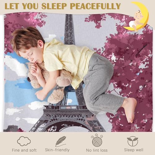 Paris Tower Blanket, Paris Tower Soft Lightweight Throw Blanket for Sofa Couch Bed Room 50x60 inch - color: Paris Tower