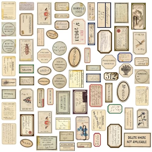 140 Pcs Vintage Aesthetic Stickers for Adults | Junk Journal Supplies for Scrapbooking Bullet Journal Collage Diary DIY Crafts - style: Vintage Aesthetic