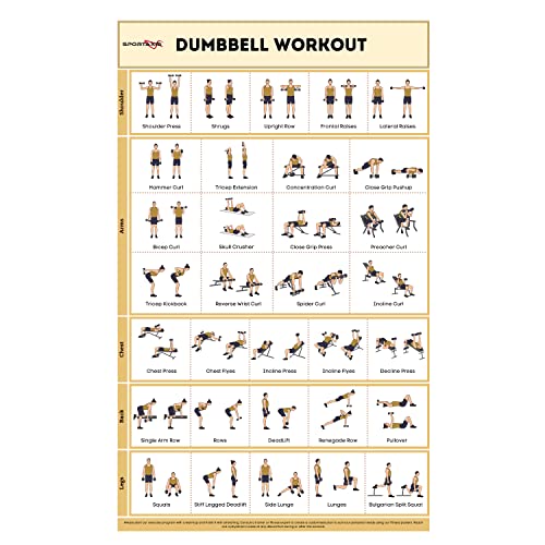 SPORTAXIS- No-Equipment Laminated Dumbbell Workout Poster with Colored Illustrations- Home Workout Poster for Men and Women - Advanced Home Training Wall Poster - color: Dumbbell Workout
