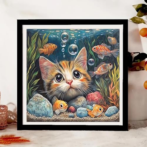 Cat Fish Funny Paint by Numbers Kit for Adults Framed Canvas Frameworkless | Easy Adult Paint by Number Kits on Canvas DIYCat Fish Funny Painting for Beginners Art by Numbers for Home Wall Decor Gift - color: YH03792