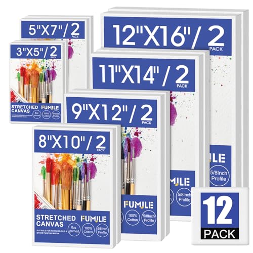 FUMILE Stretched Canvas for Painting, Blank Canvases for Painting Multi 12 Pack 3x5, 5x7, 8x10, 9x12, 11x14, 12x16 (2 of Each), Primed Acid Free Painting Canvas for Beginners & Artists. - size: 3x5, 5x7, 8x10, 9x12, 11x14, 12x16 in